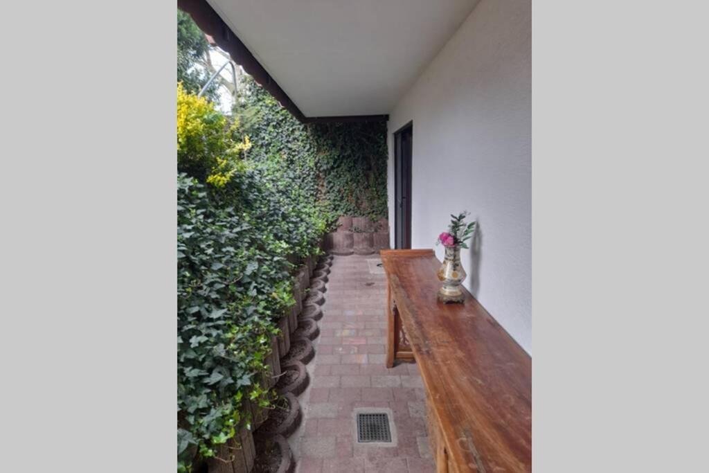 Souterrain Wohnung In Μπενσχάιμ Εξωτερικό φωτογραφία